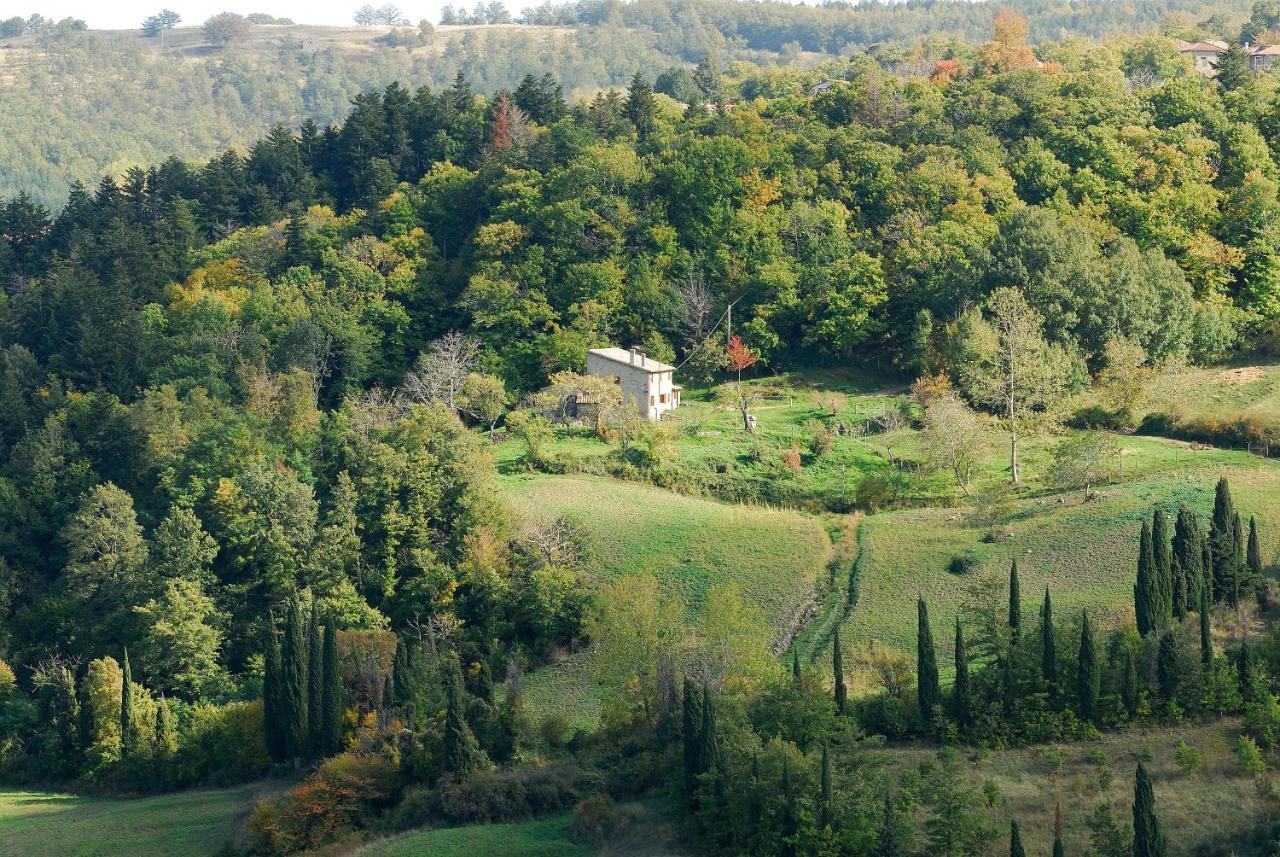 A Stay Surrounded By Greenery - Agriturismo La Piaggia - App 2 Bathrooms Vivo d'Orcia Экстерьер фото