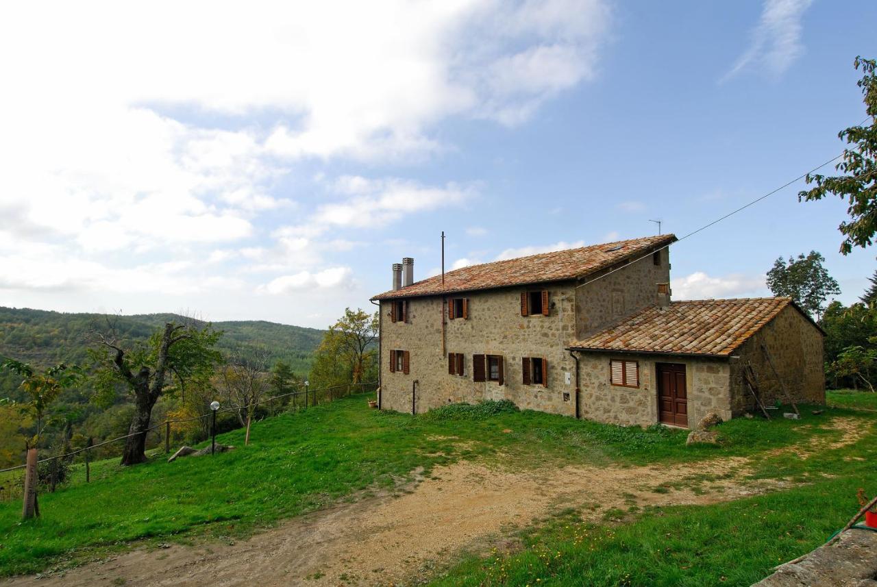 A Stay Surrounded By Greenery - Agriturismo La Piaggia - App 2 Bathrooms Vivo d'Orcia Экстерьер фото